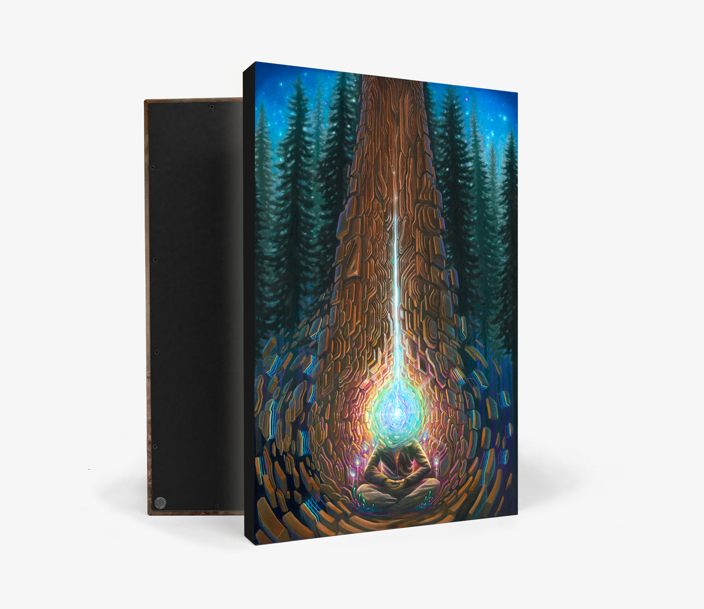 'Closer to the Core' By Sean Zenner and Blake Foster