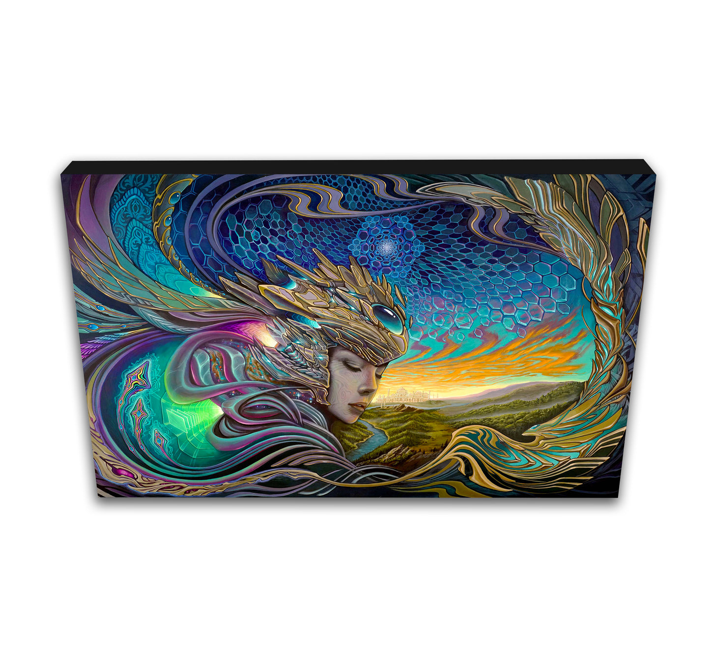 'Entheogenesis' Canvas Print by Sean Zenner