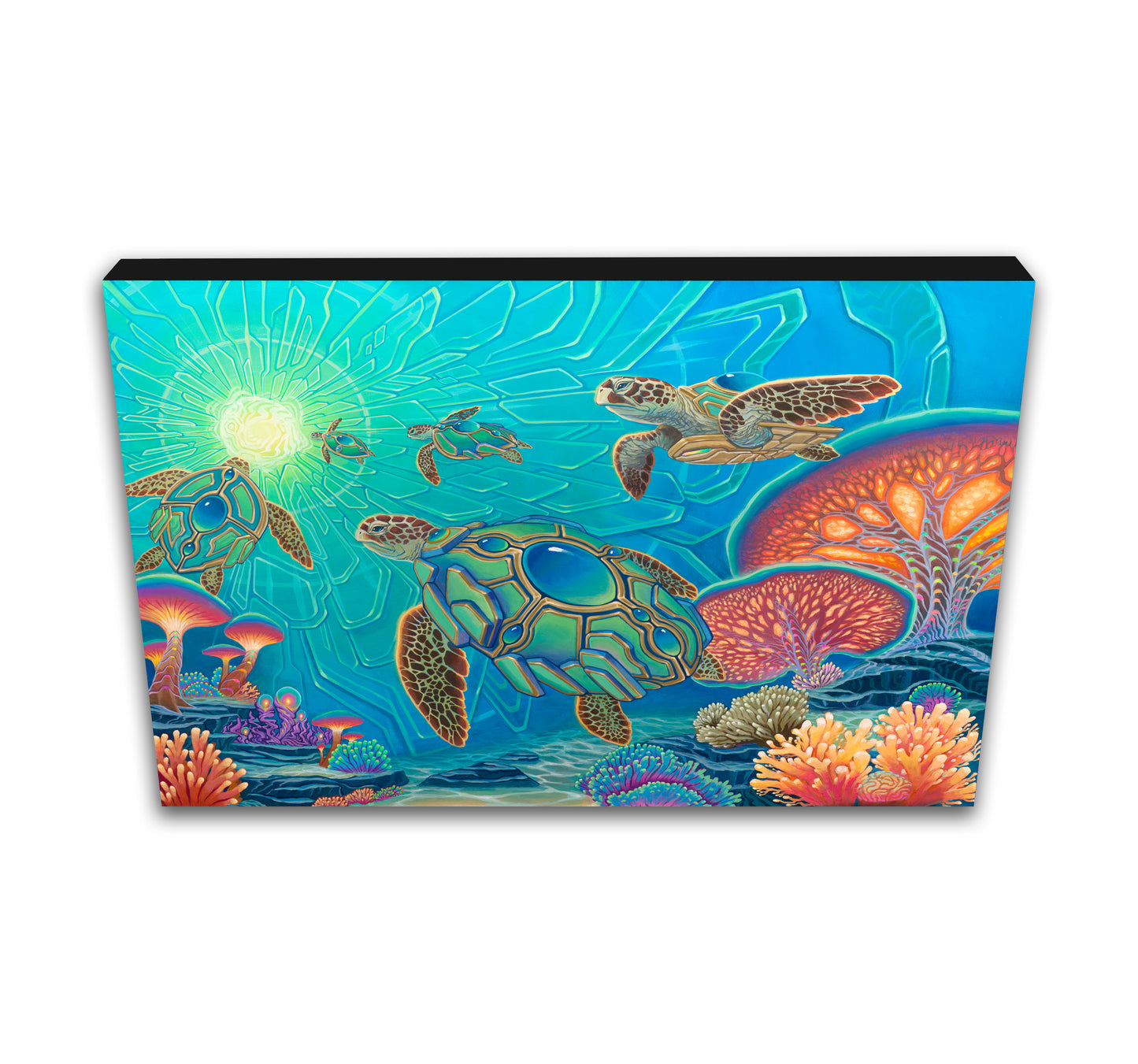 'Psyturtles' Canvas Print by Sean Zenner
