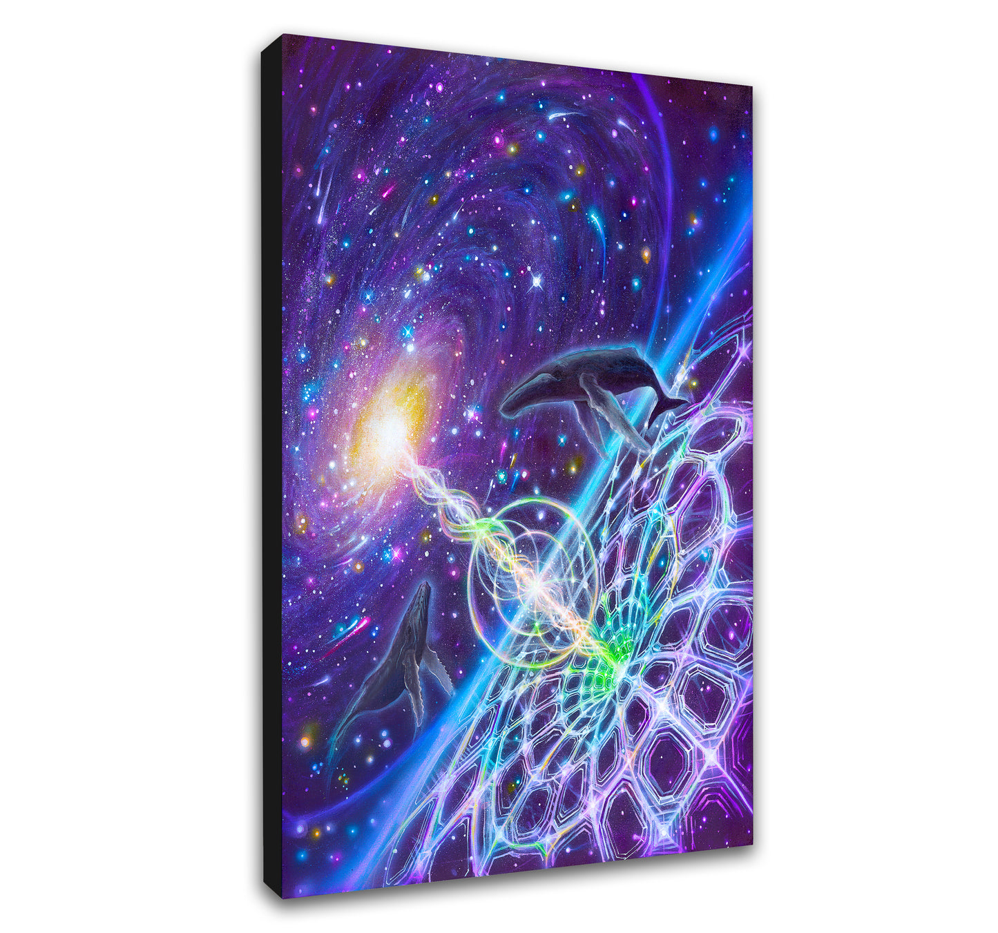 'Whales in the Space Time Continuum' Canvas Print by Sean Zenner