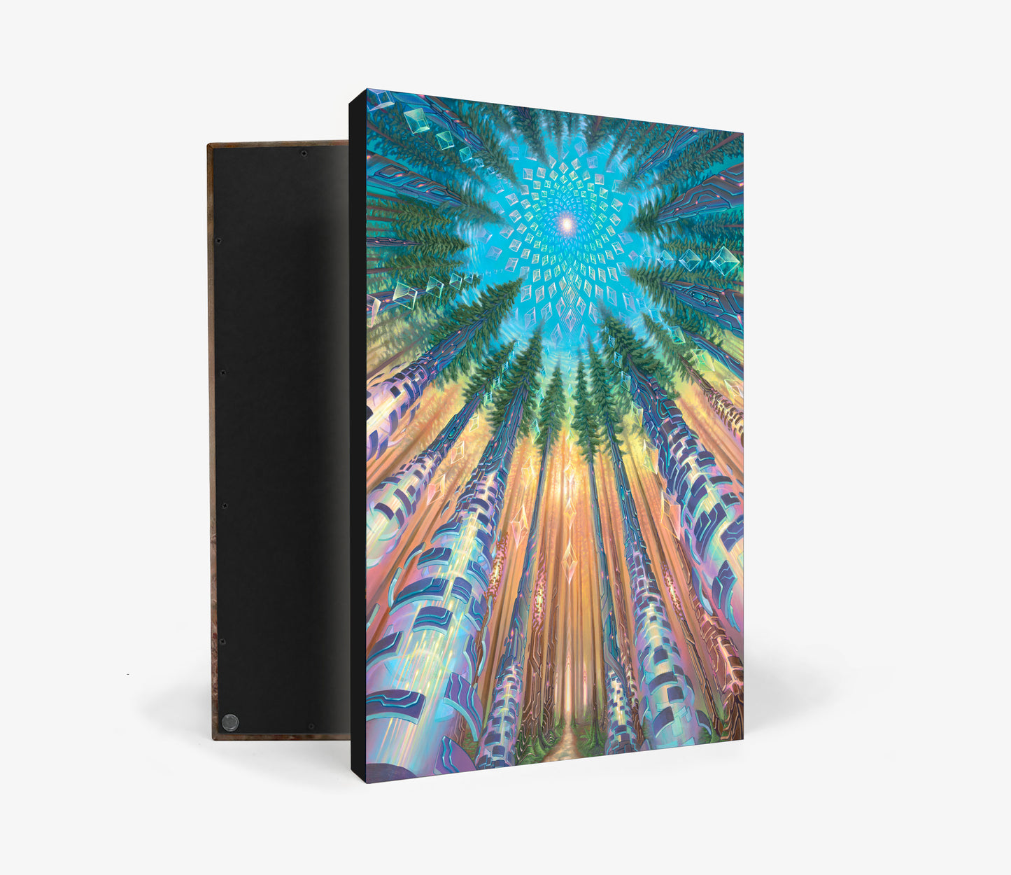 'Supraliminal' Canvas Print by Sean Zenner and Blake Foster