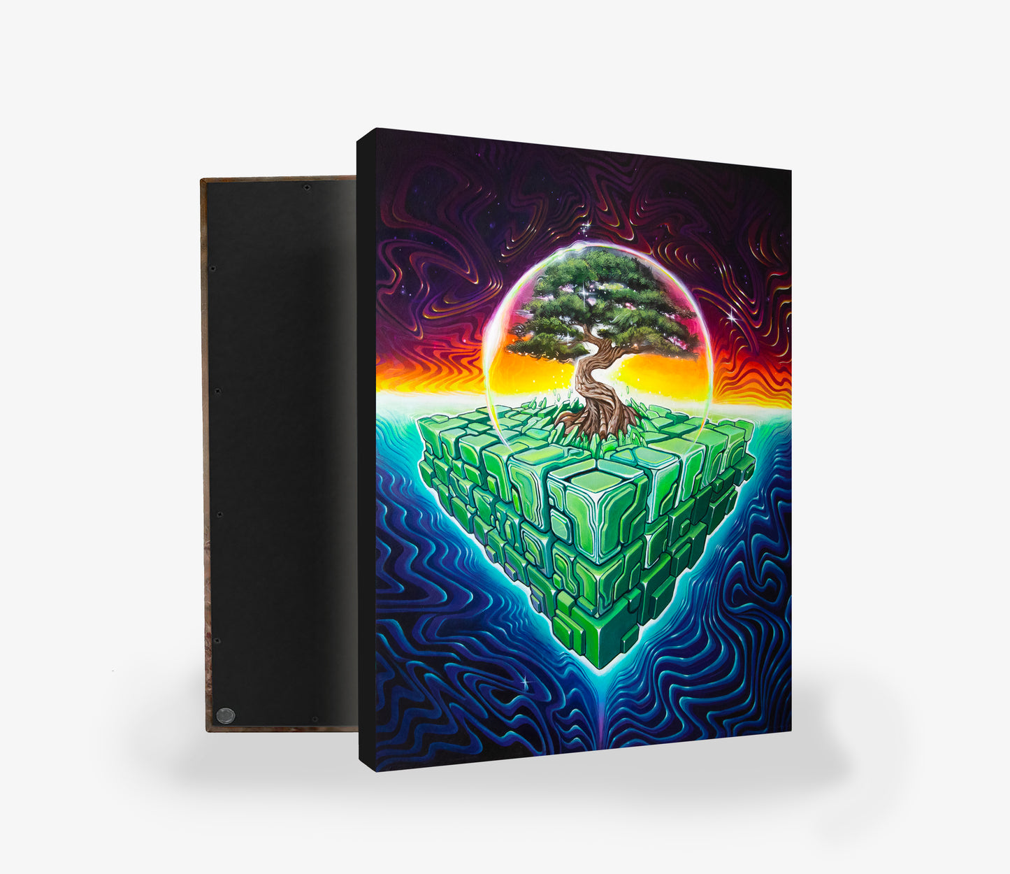 'Terraform' Canvas Print by Sean Zenner