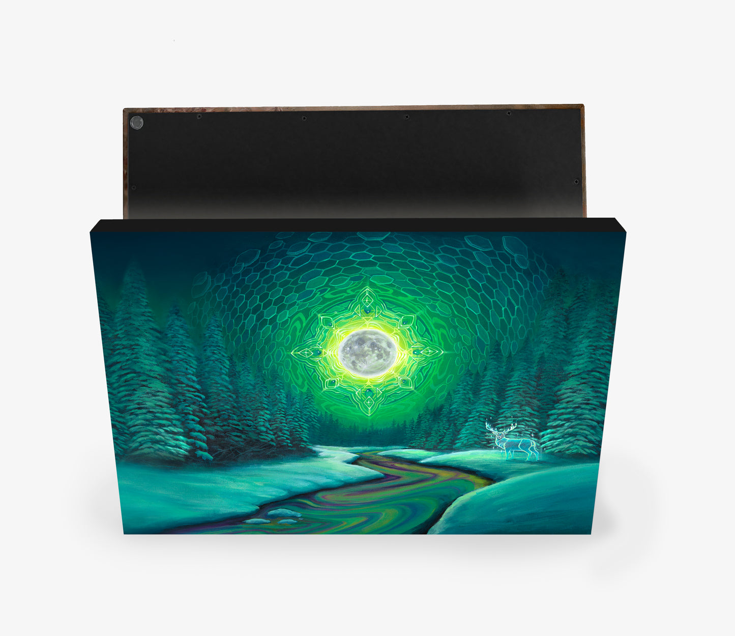 'Winter's Dream' Canvas Print by Sean Zenner