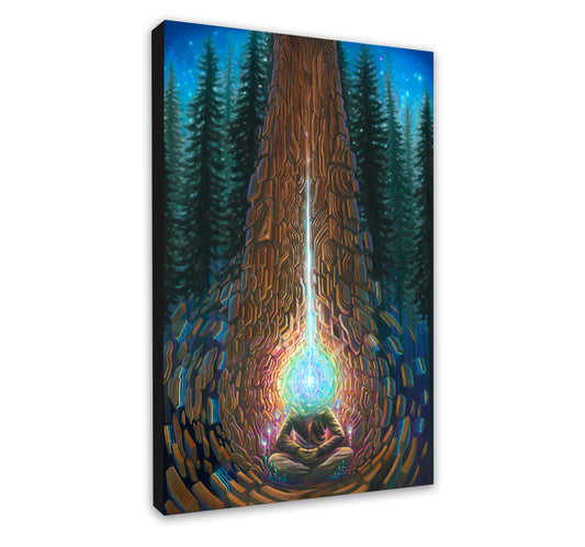 'Closer to the Core' By Sean Zenner and Blake Foster