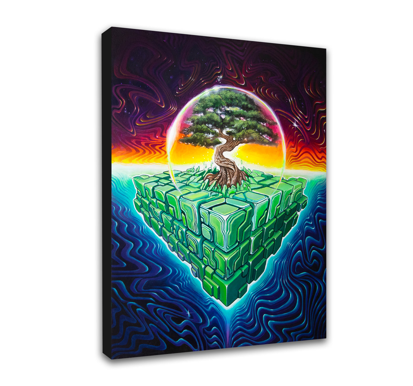 'Terraform' Canvas Print by Sean Zenner
